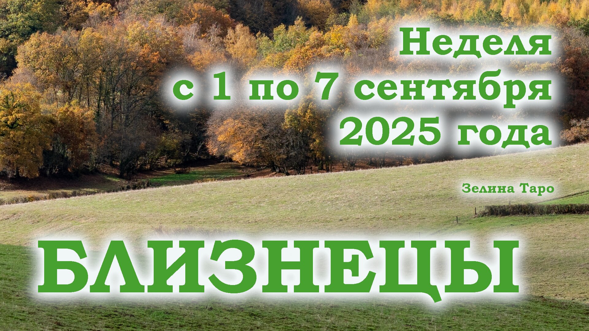 БЛИЗНЕЦЫ | Таро прогноз на неделю 1–7 сентября 2025 | Главные события и совет карт