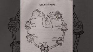 Пульс различных органов. 7 и 1 уровни пульса. Кала. Связь Кала и Дош.