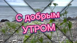 С добрым утром! Пожелания доброго утра