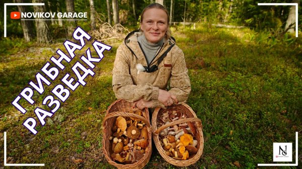 Грибная разведка 28 августа 2025. Выборгский район.