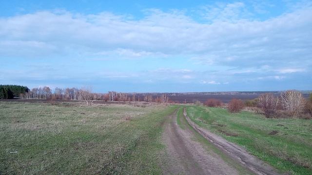 Исчезнувшая деревня Рудаковка, Петровский район.