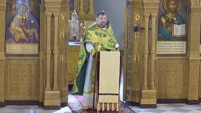 Торжественный вход в Иерусалим. Проповедь протоиерея Димитрия Сизоненко смотреть онлайн