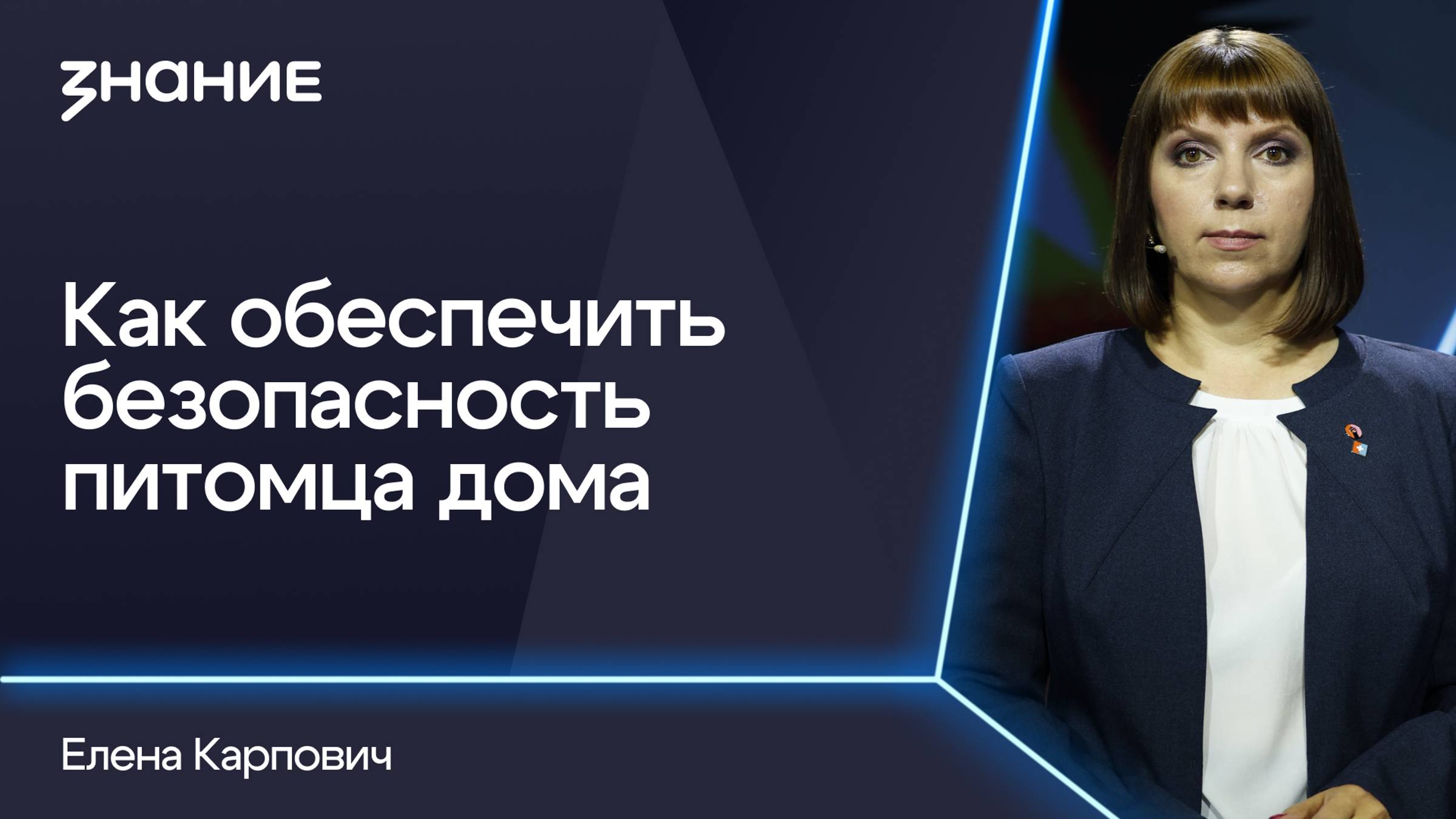 Грани смыслов | Елена Карпович | Как обеспечить безопасность питомца дома смотреть онлайн
