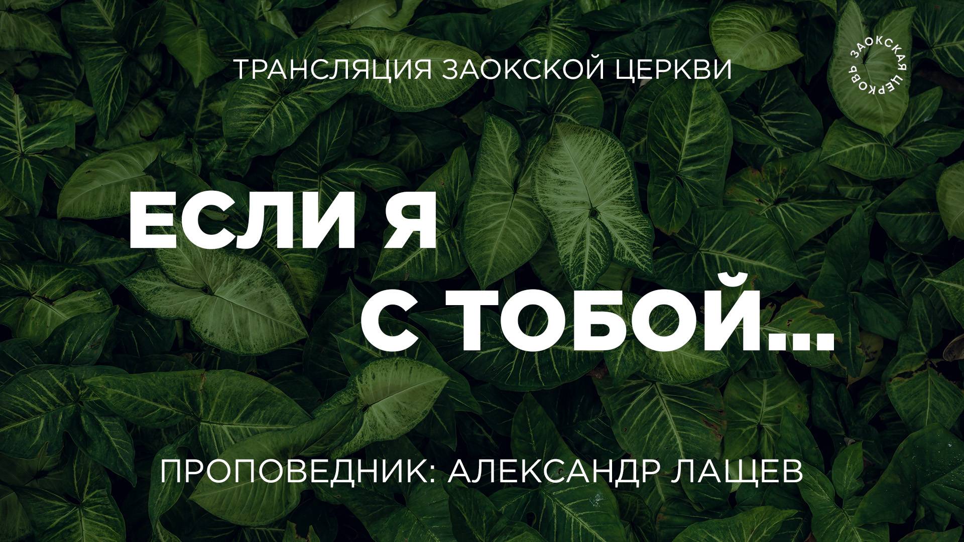 БОГОСЛУЖЕНИЕ онлайн - 29.08.25 / Трансляция Заокская церковь смотреть онлайн
