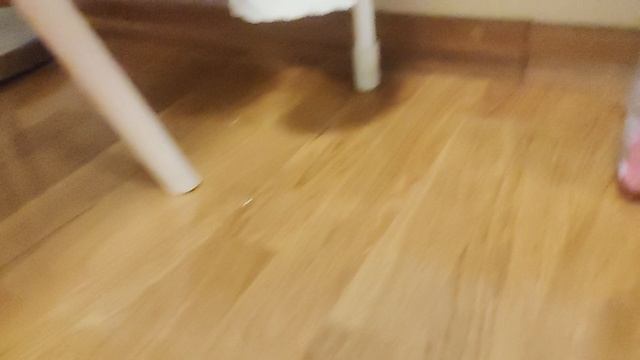 что нужно шиншилкам мою Буся зовут а как зовут ваших питомцев??? смотреть онлайн