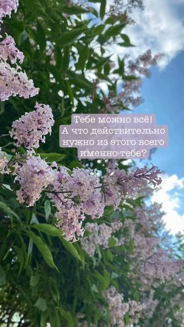 Послание дня.#саморазвитие #самопознание #посланиедня #осознанность