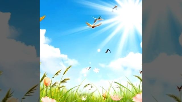 Весна смотреть онлайн