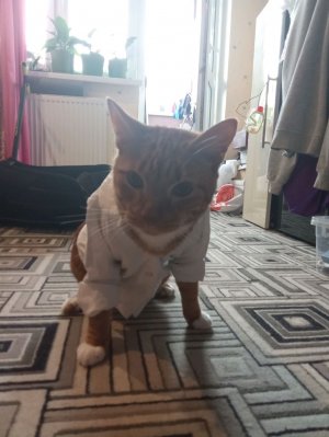 влог день с ямом и Ильёй