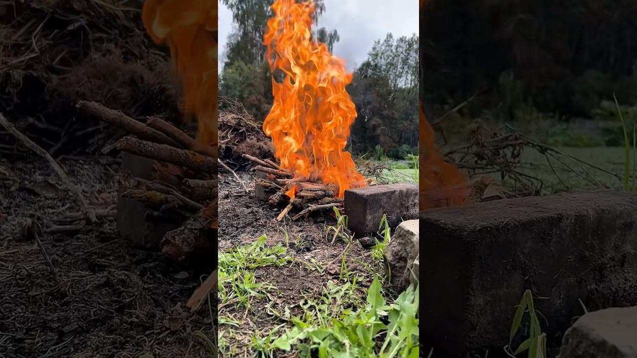 Вот это я обожрусь сегодня рыбы смотреть онлайн