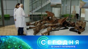 «Сегодня в Санкт-Петербурге»: 29 августа 2025 года