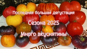 29 АВГУСТА!🤦 БОЛЬШАЯ ПОМИДОРНАЯ ДЕГУСТАЦИЯ!👍 МНОГО ВКУСНЯШЕК.😍