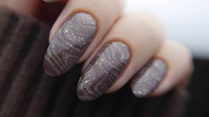 Стильный маникюр в тёмных тонах (обычный лак)