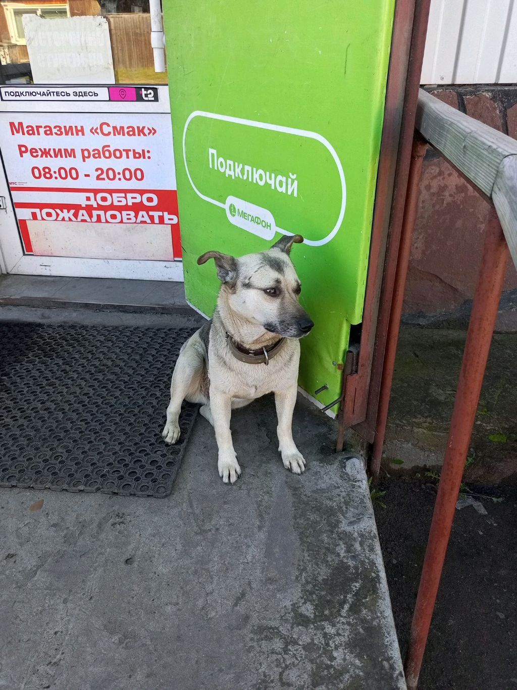 охранник года