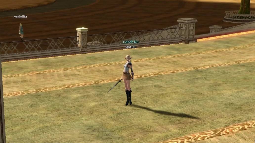 Я что, доставщик: Lineage II - 1