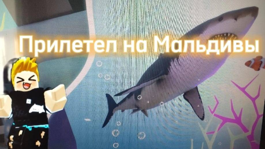 прилетел на мальдивы