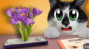 урок ботаники