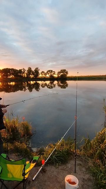 второй карась на закате