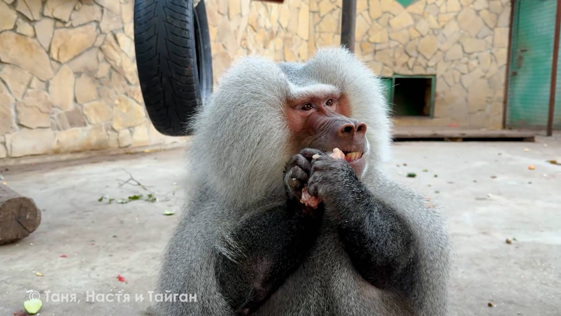 Елисею и Лиде объедки после Люси! Люся вспомнила о своем амплуа! Елисей в печали от своих жен! смотреть онлайн