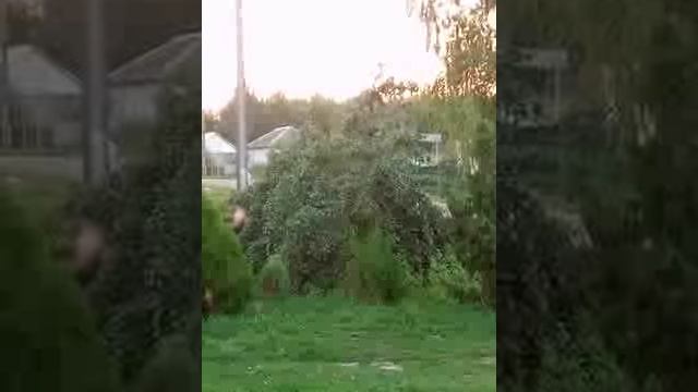 Люди - это вся травля за день (белый,зелёный,синий,красный)).