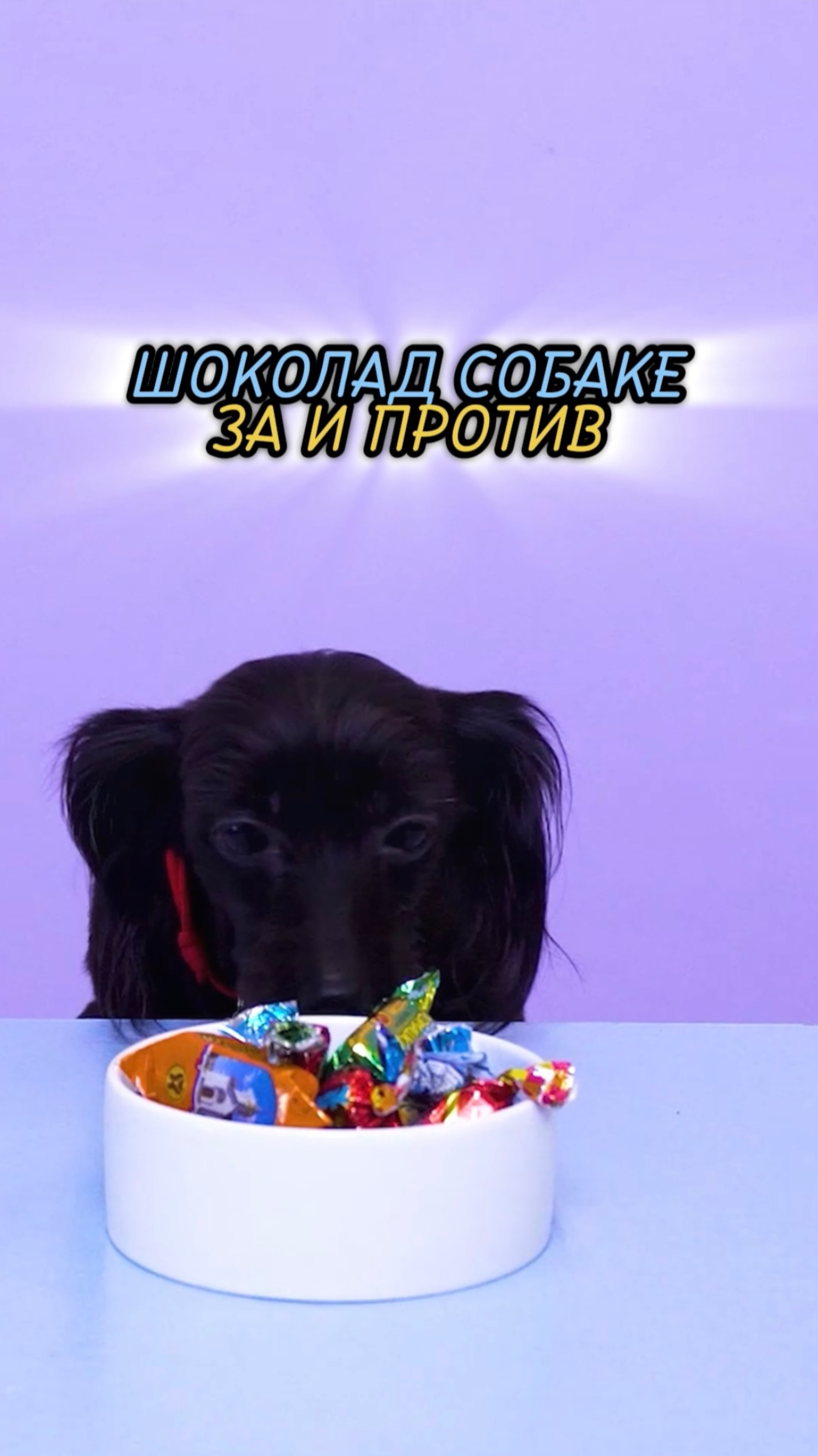 🎁Бесплатные уроки. Жми сюда!
