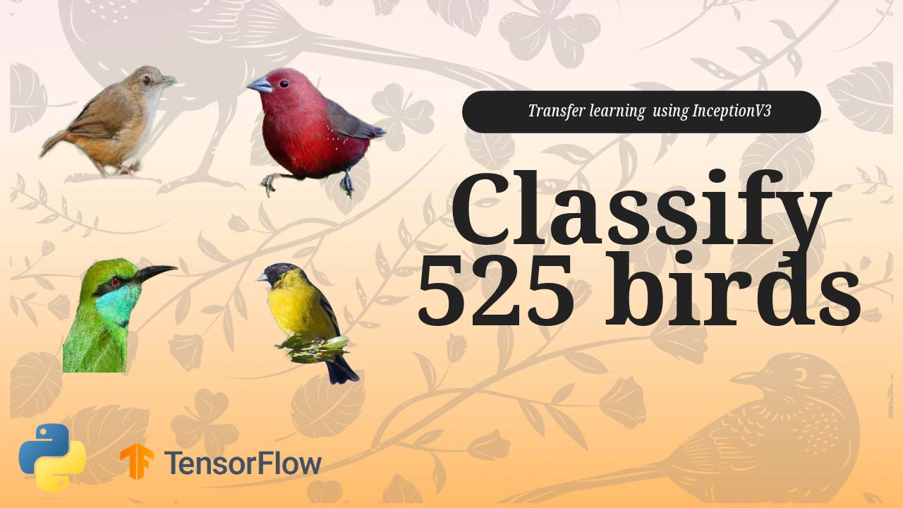 Практическая реализация Inception V3 | Классификация более 500 видов птиц (!!!) смотреть онлайн