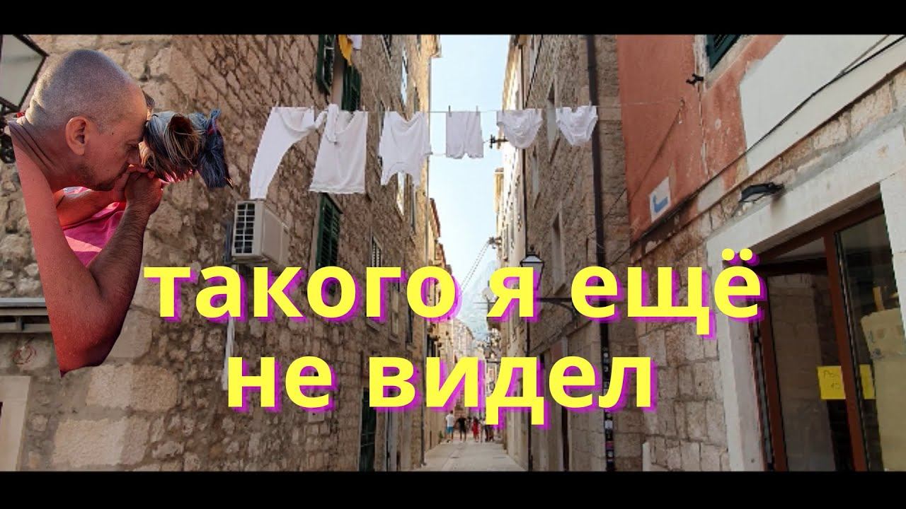 Стадо баранов/ Наш отпуск в Хорватии 2022/ Наша жизнь в Германии/ Влог смотреть онлайн