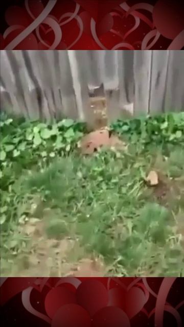 Бесконечная игра смотреть онлайн