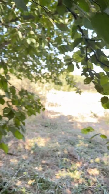 Доброго утра-дня из Крыма с Ярославом Фроловым смотреть онлайн