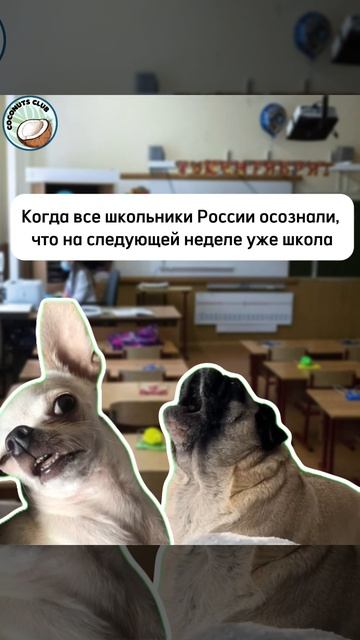 Мы очень сочувствуем 😢 смотреть онлайн