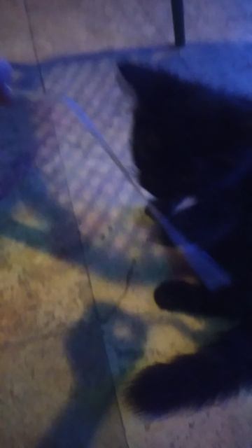 VID_20250827_214935.mp4