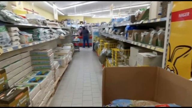 У нас пополнение в семье! /Мы очень счастливы/ Купили Йорка/ Закупка для Йорка/ Йоркширский терьер смотреть онлайн