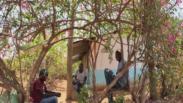 РАЗОШЛИСЬ НА СПУСКЕ НО СОШЛИСЬ РАЗНЫМИ ДОРОГАМИ / ВОЙ - От НАЙРОБИ ближе к МОМБАСЕ смотреть онлайн