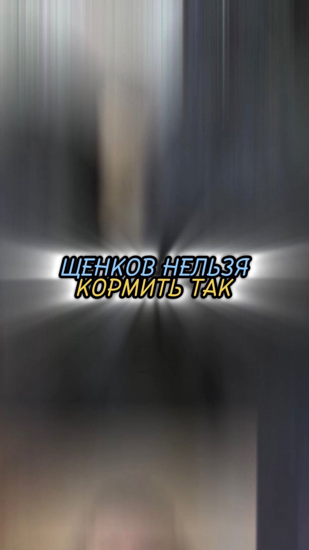 🎁Бесплатные уроки. Жми сюда!