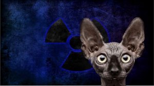 Сводки с фронтОв с Котом Костяном