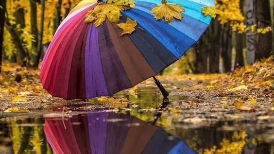 Скоро осень, господа.