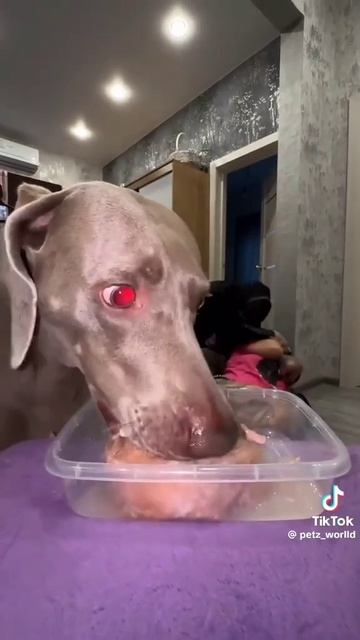 защитник #shorts