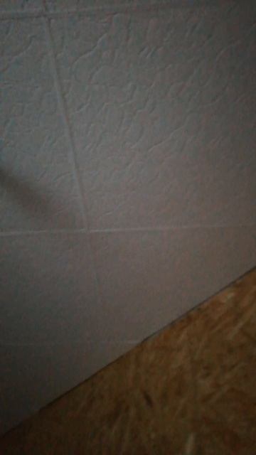 Я справилась