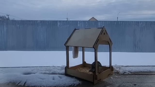 Из Германии в Россию/ 30 лет спустя/ Не теряет шанс/ Врата Сибири/ Тюмень/ Наша жизнь в России/ Влог смотреть онлайн