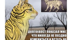 чему учат коты воители