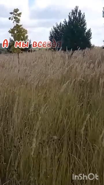 InShot_20250819_194509128