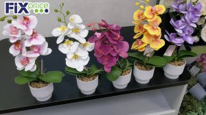 В ФИКС ПРАЙС привезли орхидеи, много для рукоделия, стулья, стаканы, кружки, тарелки Очень хорошая