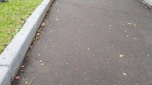 S.T.A.L.K.E.R. 2 СЕРИЯ ОРБИБОЛ // ГИДРОБОЛ смотреть онлайн