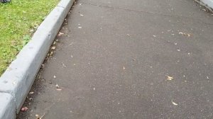 S.T.A.L.K.E.R. 2 СЕРИЯ ОРБИБОЛ // ГИДРОБОЛ