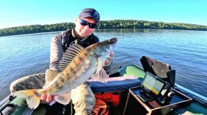 ВОТ ЭТО Я ПОНИМАЮ РЫБАЛКА! Рыбалка на Зимние Приманки. Ловля судака в отвес с эхолотом Calypso.