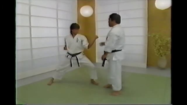 Karate Lesson By Fumio Demura 1986