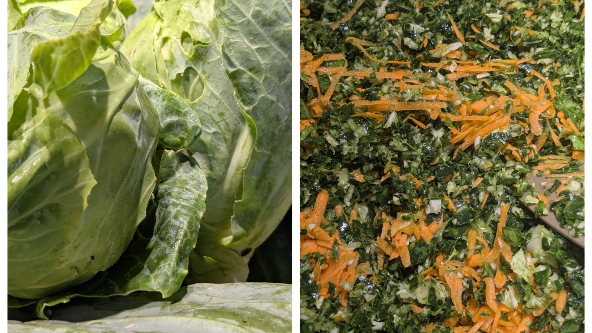 Делаю крошево ( серые щи ) на зиму. смотреть онлайн