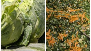 Делаю крошево ( серые щи ) на зиму.