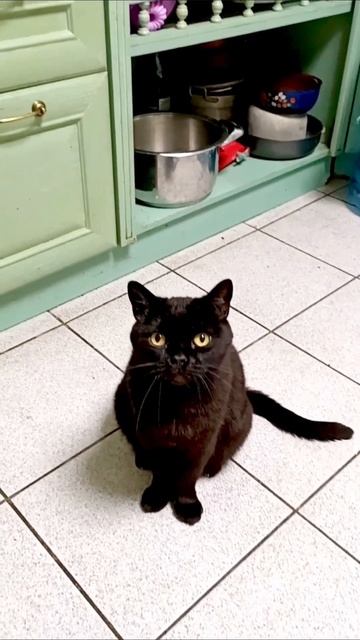 Ну че, споем?