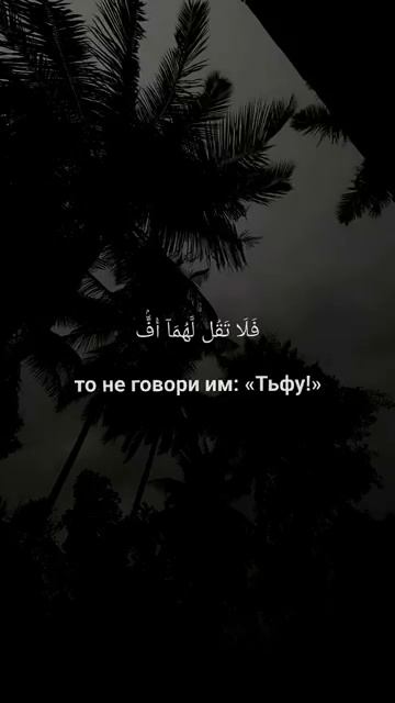 Сура Аль-Исра аят 23-24чтец Мухаммад аль-Люхайдан смотреть онлайн