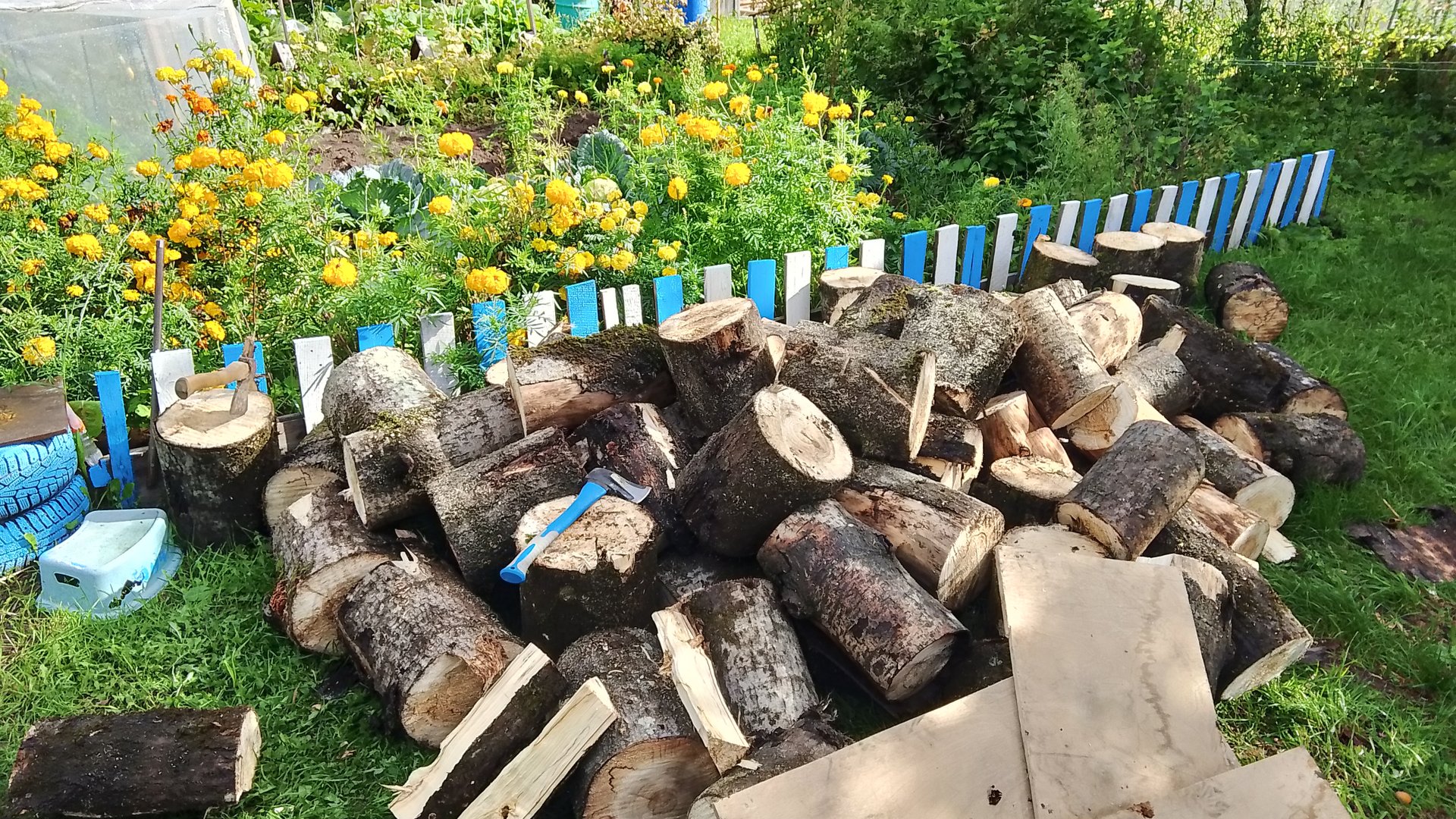 Заготовка дров 2025 смотреть онлайн